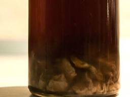 Бобровая струя 50 концентрации, высокого качества 500 мл