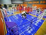 Боксерский ринг напольный и на помосте - фото 2