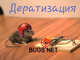 Борьба с грызунами
