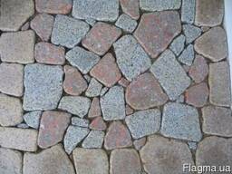 Брехчия гранитная