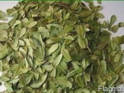 Брусниця лист