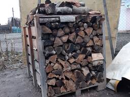 Бригада лісорубів чи 1 лісоруб