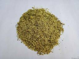 Бузина черная цветки