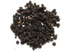 Бузина ягоды