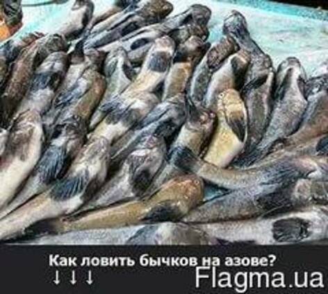 Бычок раколовка