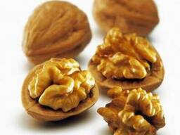 Целый грецкий орех. Экспорт