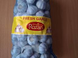 Часник товарний, Китай, 5,5 см