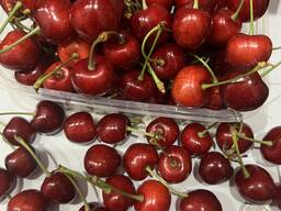 Черешня оптом