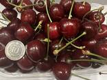 Черешня оптом - фото 3