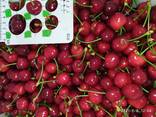 Черешня/голубика - фото 2