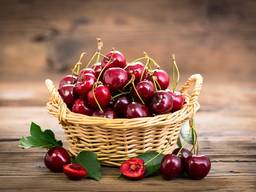 Черешня от производителя