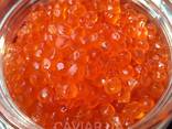 Черная икра осетра. Красная икра горбуши, нерки, кеты, кижуча, чавычи. - фото 3