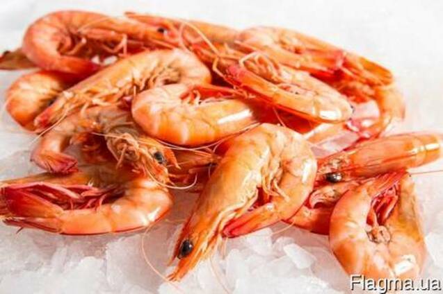 Черноморская и азовская креветка