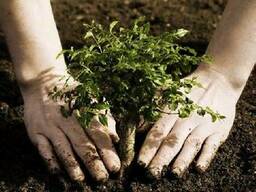 Чернозем Харьков