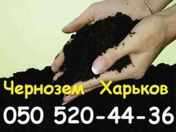 Чернозем в Харькове