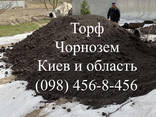 Чернозем Бровари Рожни Погреби Пухівка Димерка Шевченкове Гоголів Дударків Требухів - фото 1