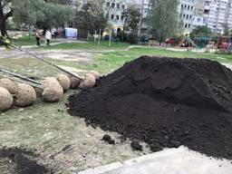 Чернозем плодородный, торф