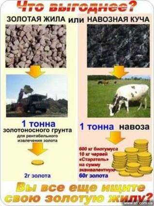 Червь для рыбалки. Червь старатель. Калифорнийский червь. Гу