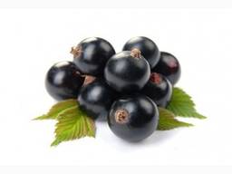 Чорна смородина; Blackberry