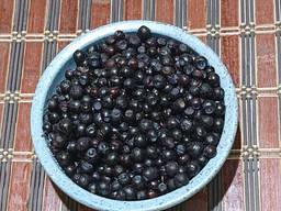 Чорниця заморожена