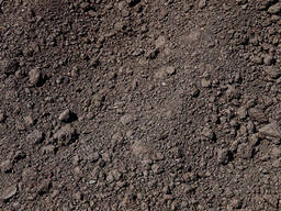 Грунт родючий (чорнозем) Бровари