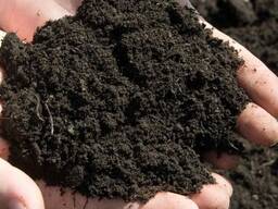 Чорнозем Рівне , Земля Рівне, доставка землі Рівне, купити землю