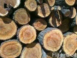 Дрова оптом