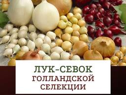 Цибуля саджанка (Лук севок)