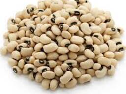 Cow pea