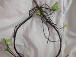 Цветущая лоза. Декор в террариум, аквариум. - фото 3