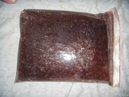 Дафния мороженная.