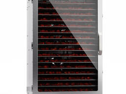 Дегідратор сушарка Food Dehydrator LT-16 для овочів фруктів м'яса грибів 16 лотків 1500Вт