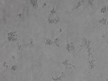 Декоративная штукатурка микро бетон Киев - фото 1