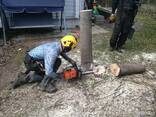 Демонтаж. Копка. Ямы. Земляные работы. Уборка. Вывоз мусора. - фото 3