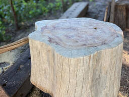 Деревʼяний стіл з цільного масиву сосни