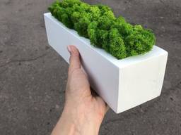 Деревяное кашпо со стабилизированым мхом 30 см MiNature Moss