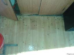 Дезинфекция