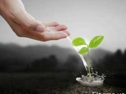 Диаммофоска 10:26:26