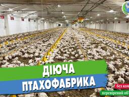 Продаж птахофабрики
