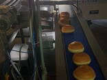Завод (виготовлення пончиків, донатів, хлібобулочних)виробів Глибокої заморозки - фото 10
