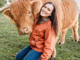 Доглянуті корови хайленд