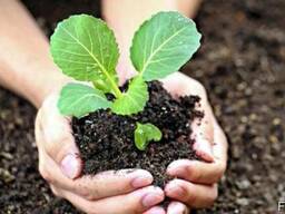 Доломитовая мука купить в Киеве, Украине оптом