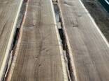 Дошка дубова, доска дубовая - фото 3