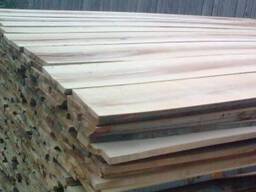 Доска Букова