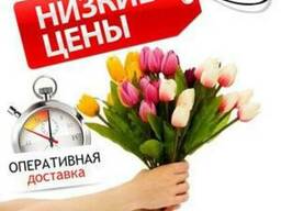 Доставка внутри города Днепр