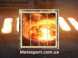 Дощеприймачі