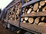 Дрова - фото 3