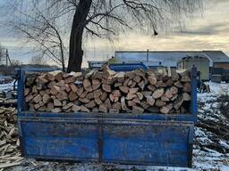 Дрова дубові колені