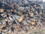Дрова дубові кругляк - фото 1