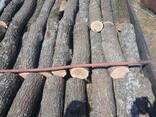 Дубовые дрова метровка и чурки - фото 2